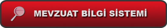 BasbakanlikLink_03.png