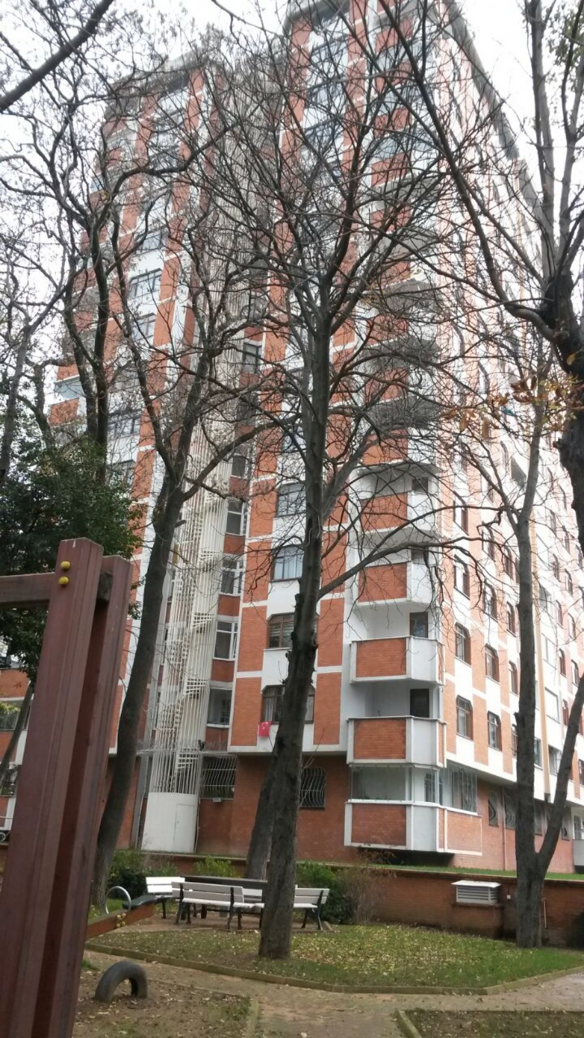 IMG-20141211-WA0013.jpg