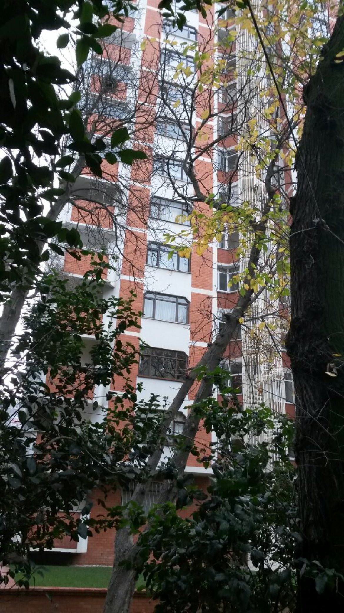 IMG-20141211-WA0015.jpg